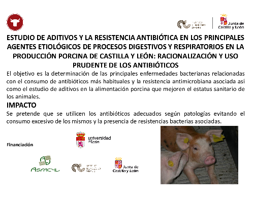 Estudio de aditivos y la resistencia antibiótica en los principales agentes etiológicos de procesos digestivos y respiratorios en la producción porcina de Castilla y León: racionalización y uso prudente de los antibióticos